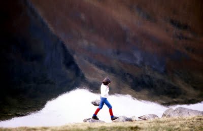 Fell Walker