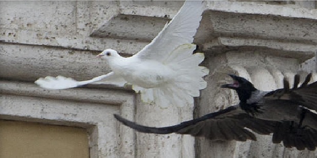 Dove attack